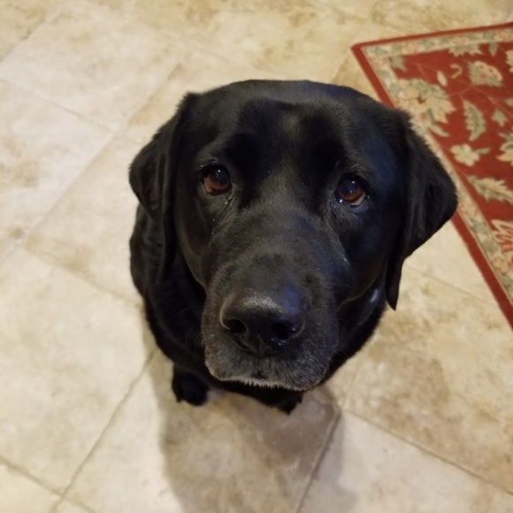 Meet the Posher Other - Meet your Posher, Samantha